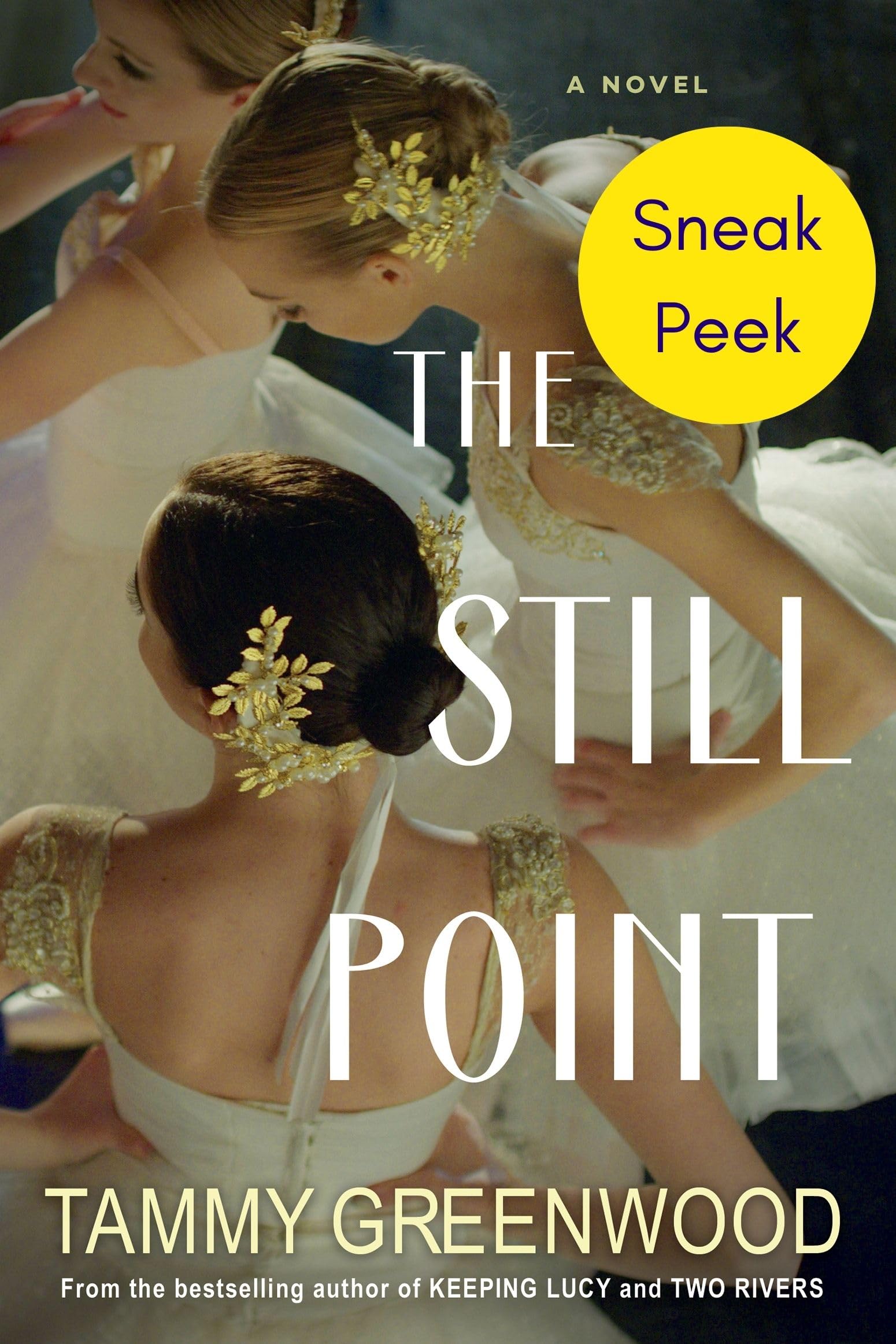 The Still Point: Sneak Peek (Kindle Edition)