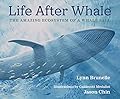 Life After Whale: The Amazing Ecosystem of a Whale Fall