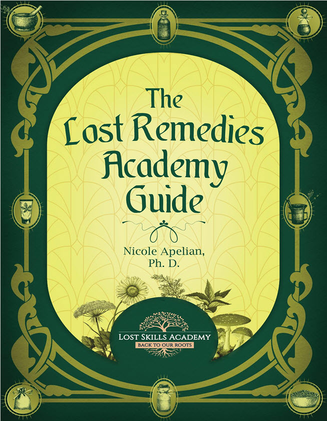 The Lost Remedies Academy Guide