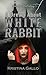 A Dream About White Rabbit:...