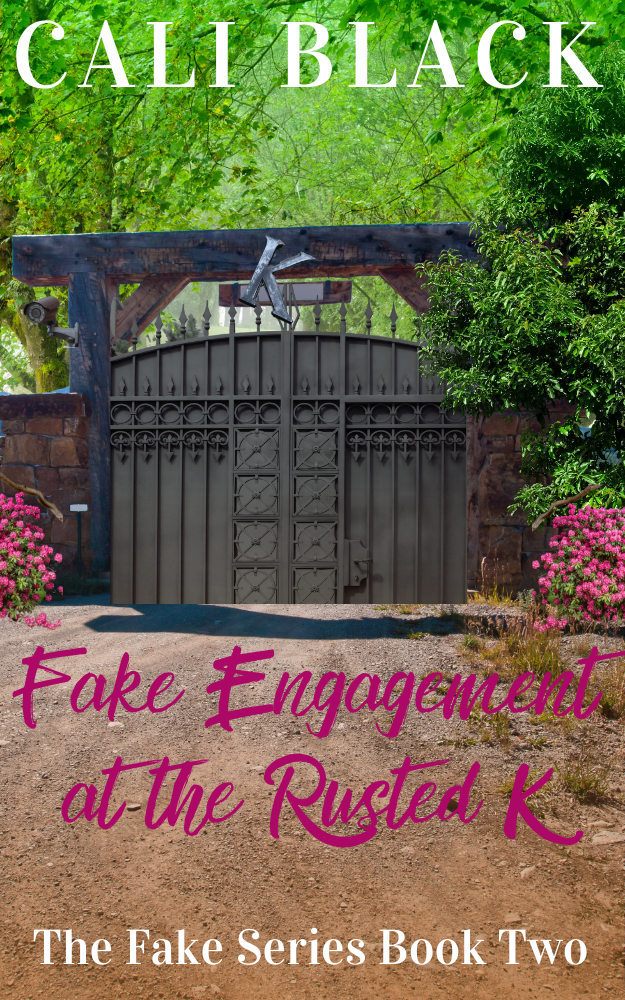 Fake Engagement at the Rusted K (The Fake Series, #2)
