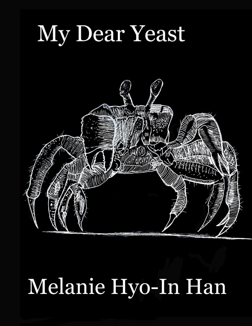 My Dear Yeast