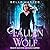 Fallen Wolf (Full Moon, #1)