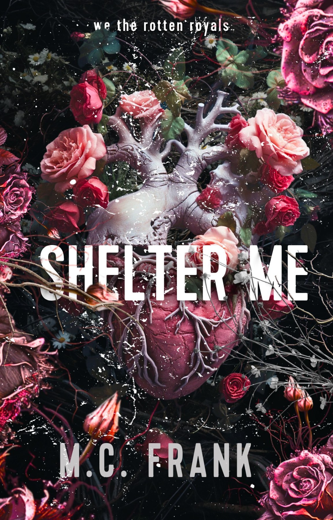 Shelter Me (Lose Me #3)