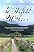 No Perfect Mothers: A Novel