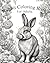 Rabbit Coloring Book: Color...
