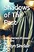 Shadows of The Past: A Dete...