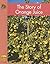 The Story of Orange Juice (Yellow Umbrella Books)