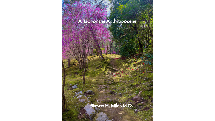 A Tao for the Anthropocene