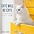 Cats Will Be Cats: The Ultimate Cat Quotebook