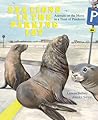Sea Lions in the Parking Lot by Lenora Todaro