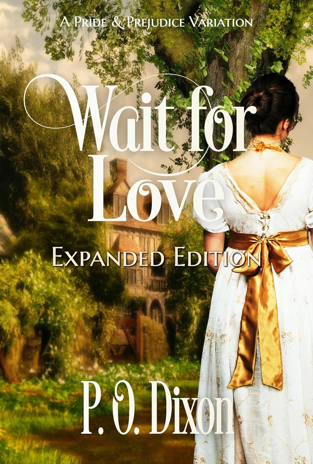 Wait for Love: Expanded Edition (ebook)