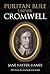 Amberley Publishing Puritan Rule Under Cromwell. by Jane Hayter-Hames