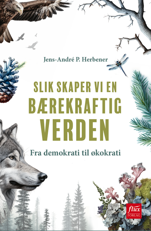 Slik skaper vi en bærekraftig verden (Paperback)