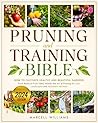 Pruning and Train...