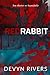 Red Rabbit: You Shatter So Beautifully (Red Rabbit Series)