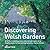 Discovering Welsh Gardens
