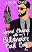 Second Chance with my Billionaire Bad Boy Enemies to Lovers Sweet Romantic Comedy by Zadie King