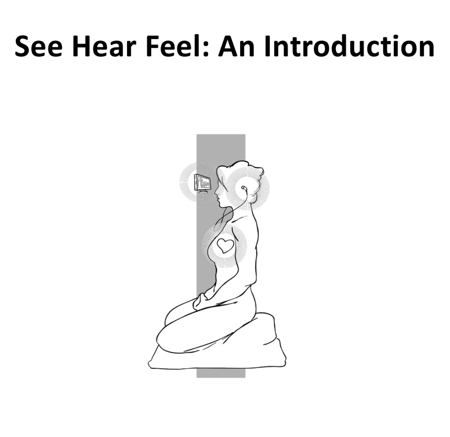 See Hear Feel