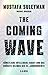 The Coming Wave