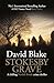 Stokesby Grave  (DI Tanner ...