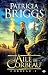 Aile de Corbeau (Corbeau, #1)