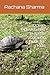 Ocean Adventures: A Turtle ...