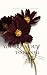 YOU ARE ABOUT TO BLOOM: A Guide To Self-Healing