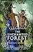 Virginia: The Enchanted Forest: A monster romance