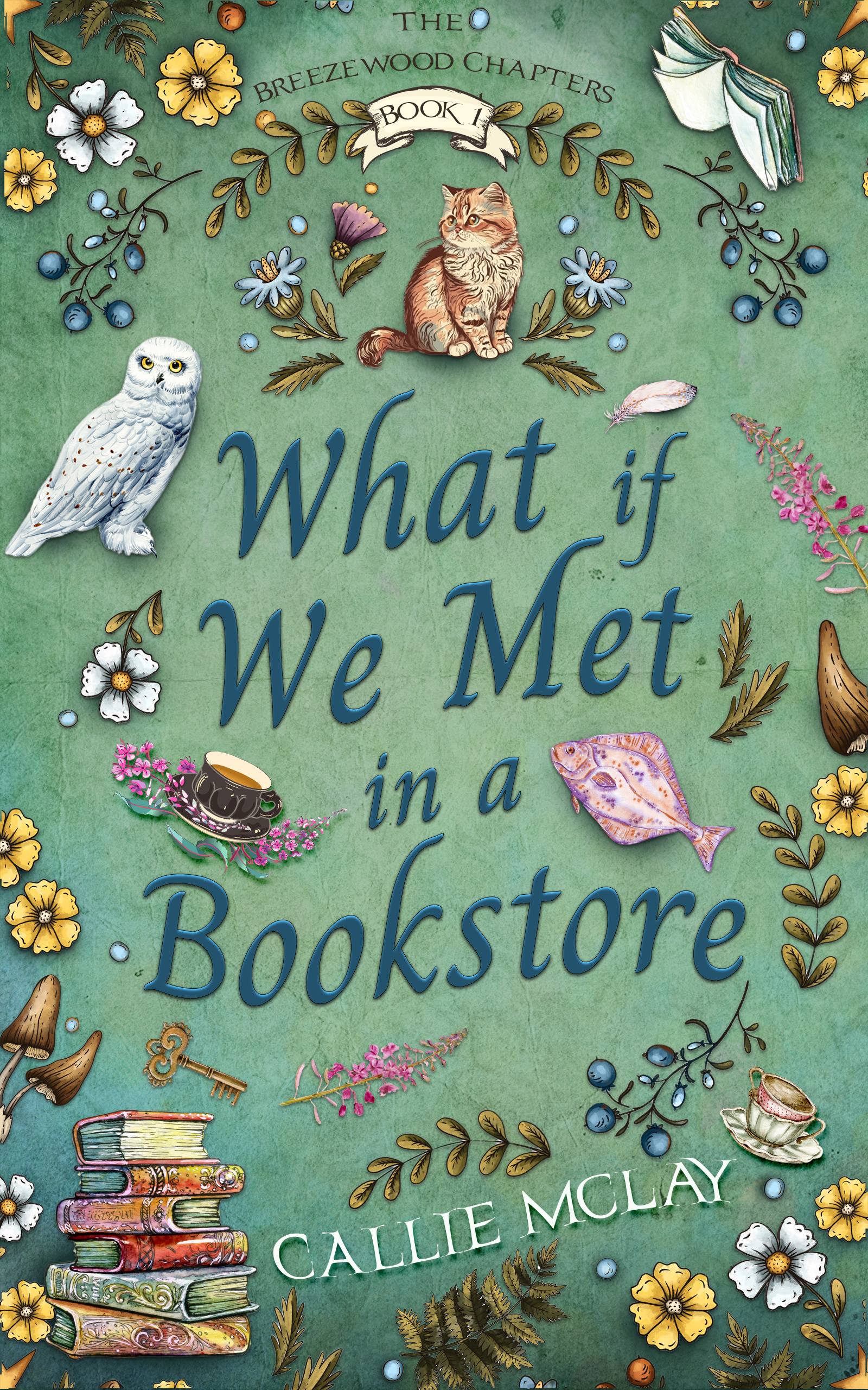 What If We Met In A Bookstore (The Breezewood Chapters #1)