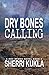 Dry Bones Calling: Dry Brook: Christian Mystery & Suspense Romance Book 2