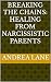 Breaking the Chains by Andrea Lane