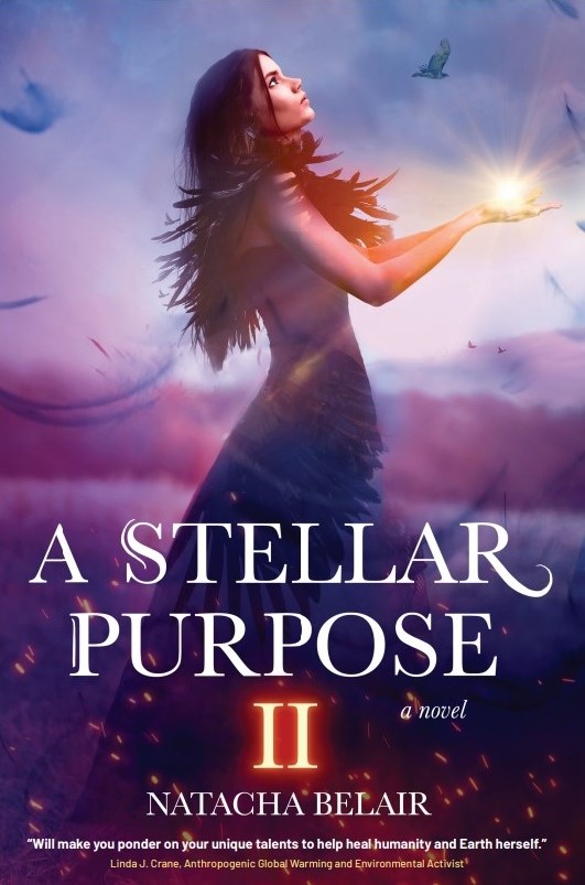 A Stellar Purpose II (A Stellar Purpose trilogy Book 2)