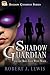 Shadow Guardian and the Boy...