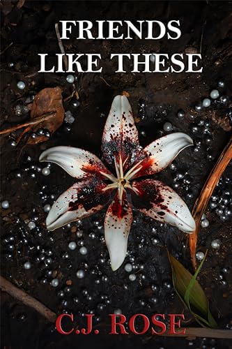 Friends Like These (Kindle Edition)