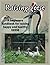Raising Geese by Simple Whiz