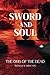 Sword and Soul II: The Orb ...