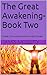 The Great Awakening-Book Tw...