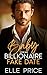 Baby For My Billionaire Fake Date by Elle Price