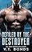 Defiled by the Destroyer (T...