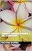 “Maximizing Your Pinterest ...