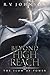 Beyond High Reach (The Flow of Power)