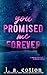 You Promised Me Forever