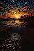 Living With Your Trauma: Id...