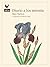 Diario a los setenta (Narrativas nº 88) (Spanish Edition)