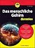 Das menschliche Gehirn für Dummies by Frank Amthor