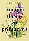 Aunque llueva en ...