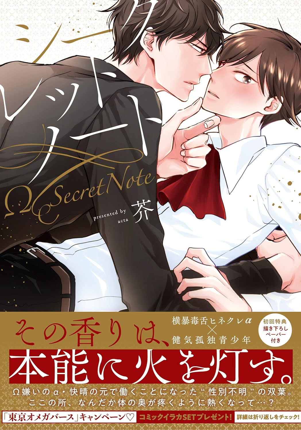 シークレットノート (Paperback)