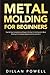 Metal Molding for Beginners...