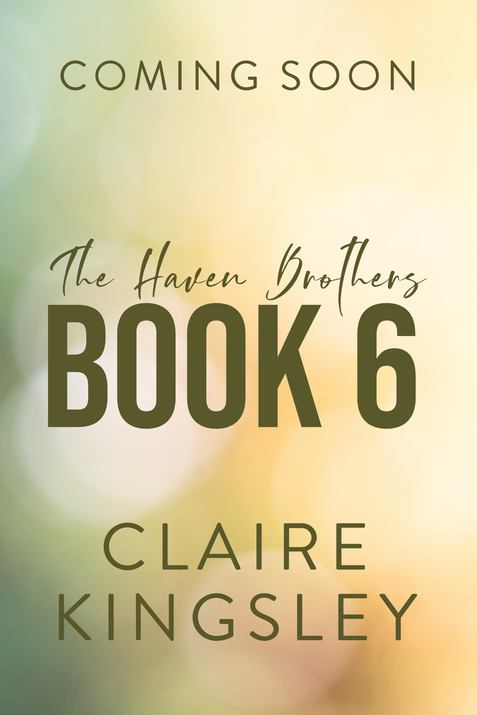 Haven Brothers Book 6 (Unknown Binding)